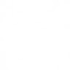 Meet your Posher, Maxwell